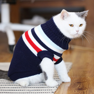 WINTERWEAR  FOR YOUR CAT!