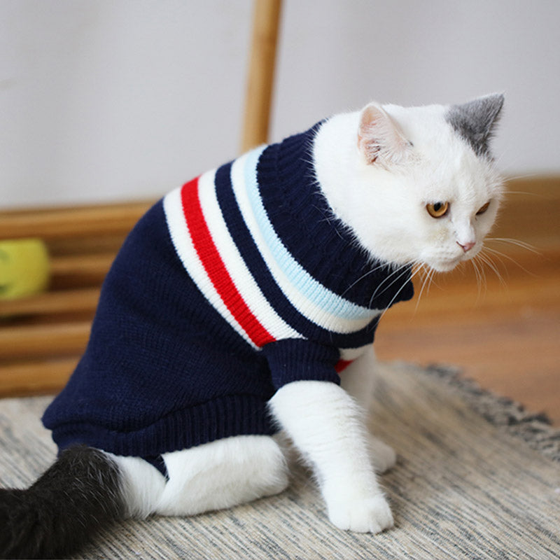 WINTERWEAR  FOR YOUR CAT!