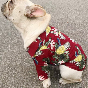 Summer beach shirt for dog / cat. Give a tropical feeling to your dog with coconut trees and pineapple prints. Also fits cats.